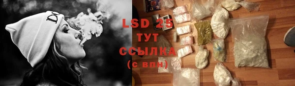 ПСИЛОЦИБИНОВЫЕ ГРИБЫ Абаза