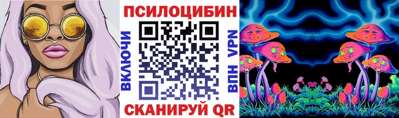 Псилоцибиновые грибы Psilocybine cubensis Таштагол