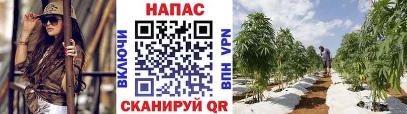 кракен онион  купить наркоту  Таштагол  Марихуана Bruce Banner 